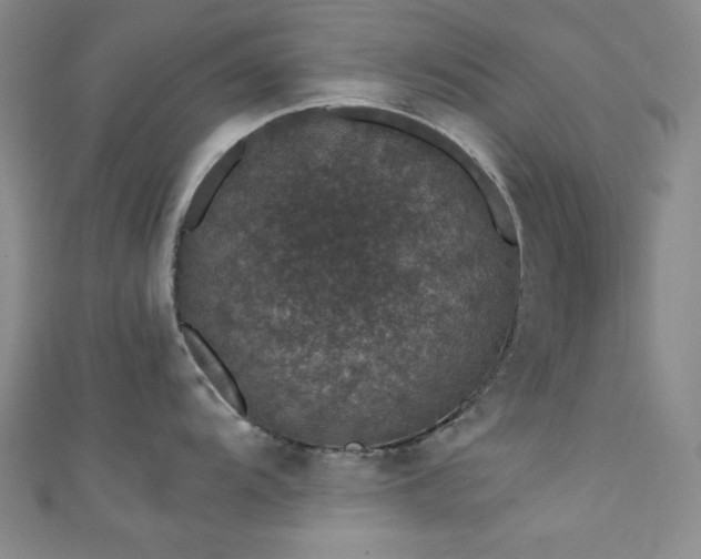 X0000111831104200907231312