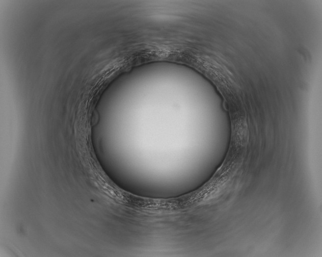 X0000111831105200907231311
