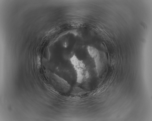 X0000111831106200907231311