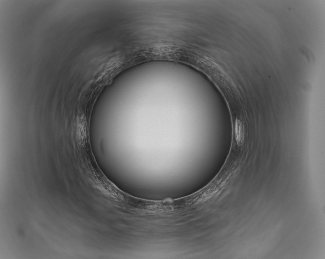 X0000111831107200907231311