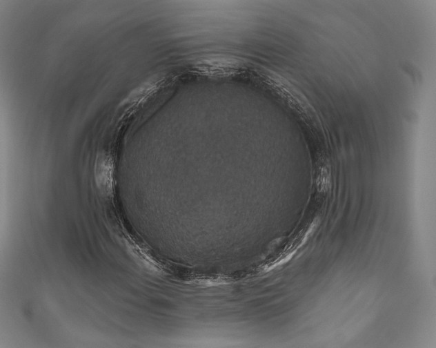 X0000111831108200907231311