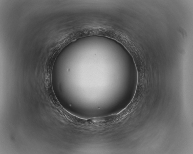 X0000111831109200907231311