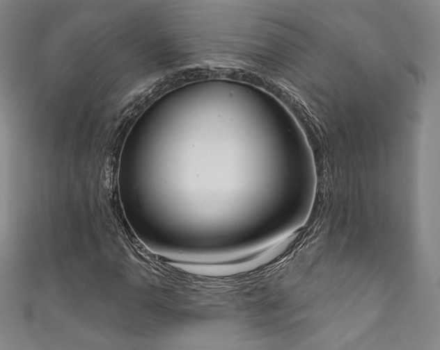 X0000111831110200907231311