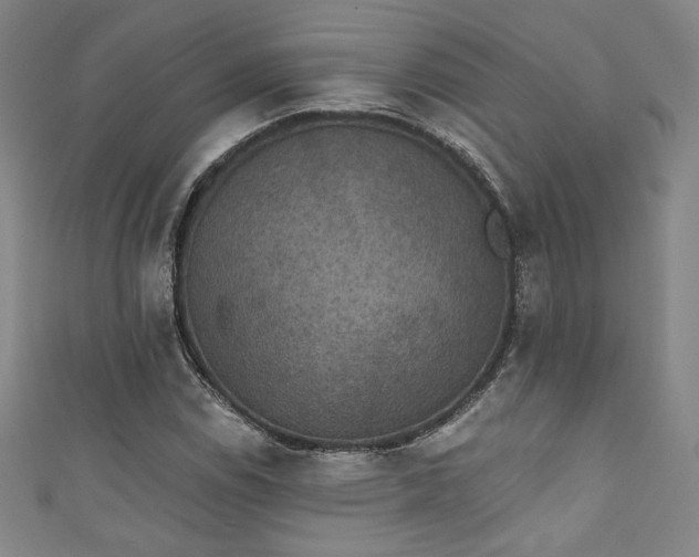 X0000111831114200907231311