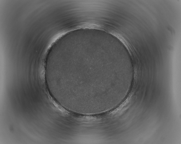 X0000111831115200907231311