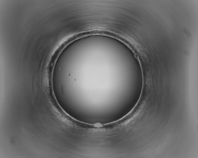 X0000111831118200907231311