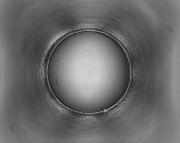 X0000111831119200907231311