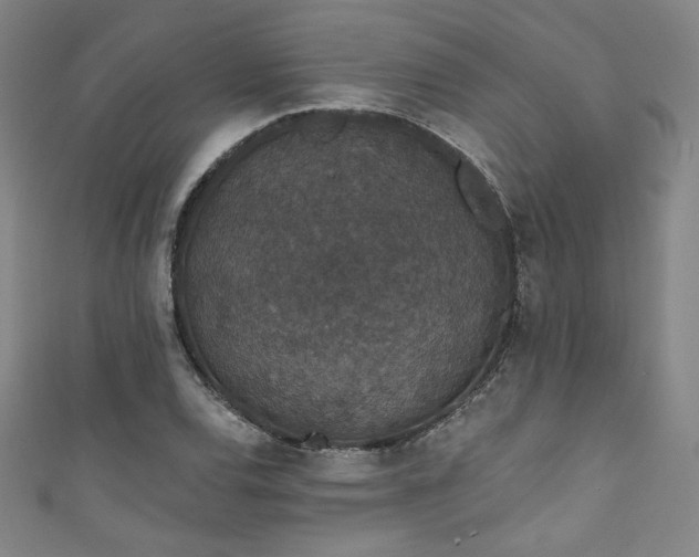 X0000111831120200907231311