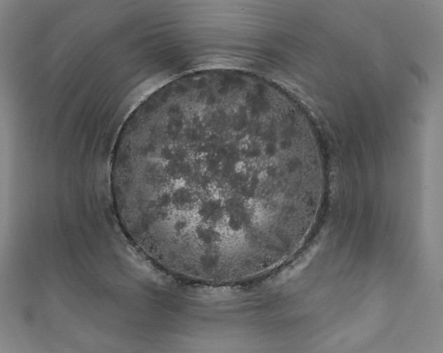 X0000111831121200907231311