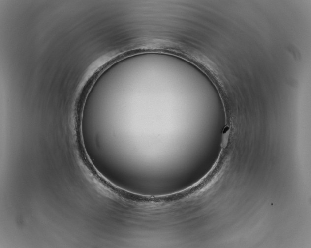X0000111831122200907231311