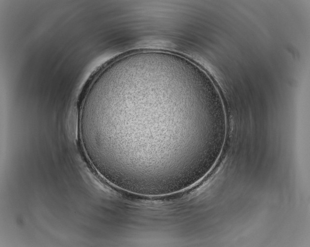 X0000111831123200907231311