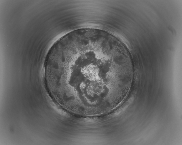 X0000111831125200907231311