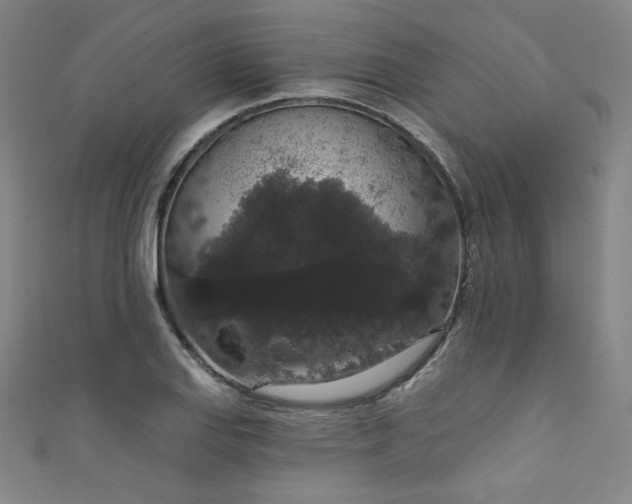 X0000111831127200907231311