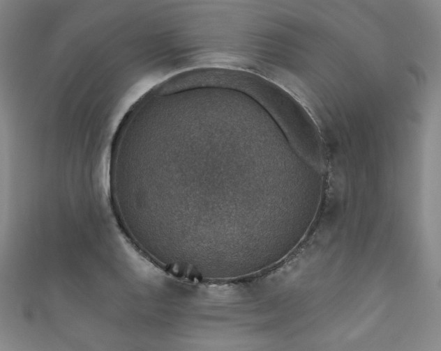 X0000111831128200907231311