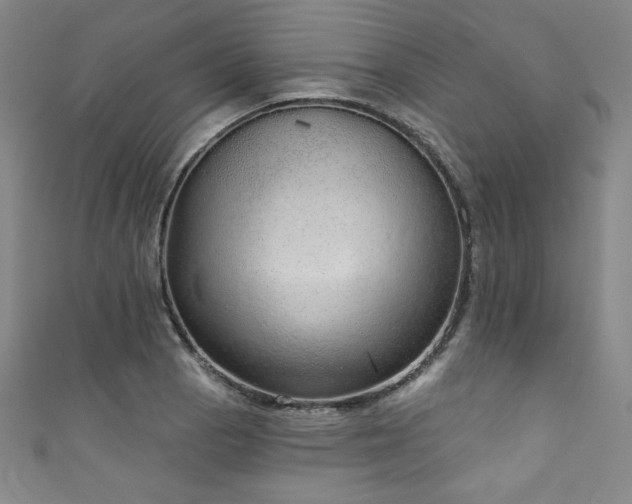 X0000111831129200907231311