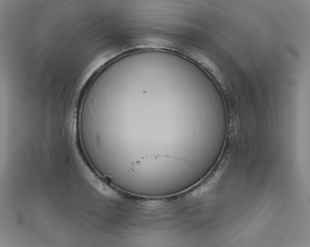 X0000111831130200907231311