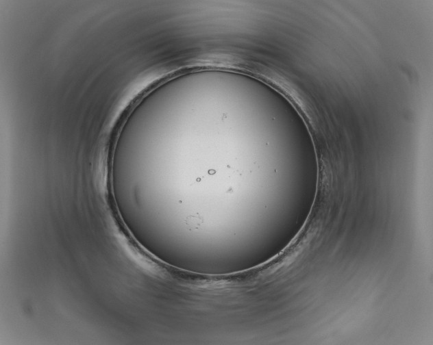 X0000111831131200907231311