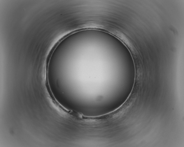 X0000111831132200907231311