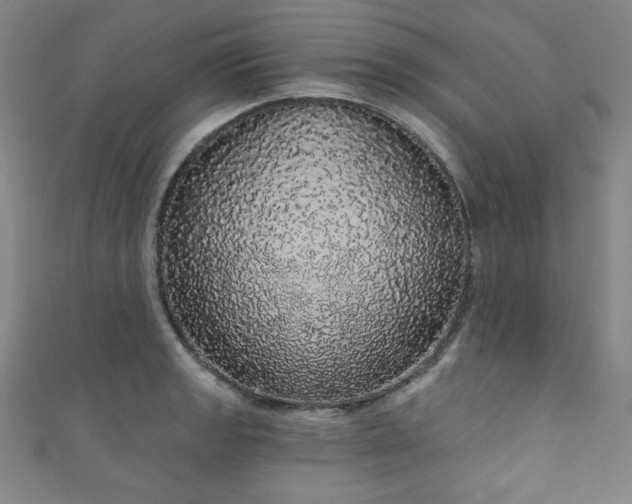 X0000111831133200907231311