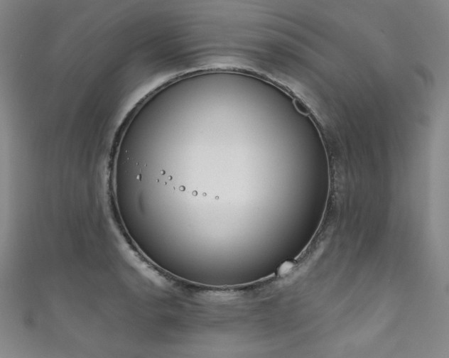 X0000111831134200907231311