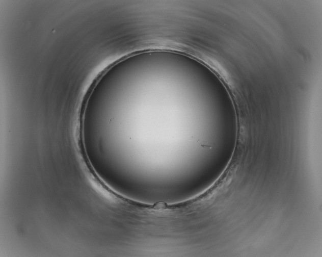 X0000111831136200907231311