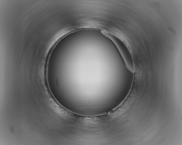 X0000111831138200907231311