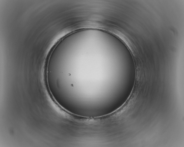 X0000111831139200907231312
