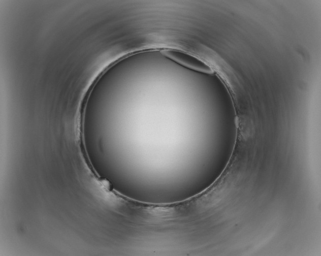 X0000111831140200907231312
