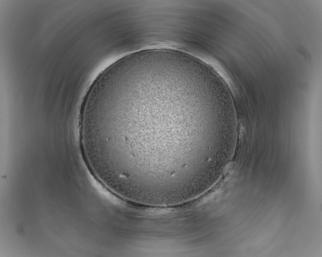 X0000111831143200907231312