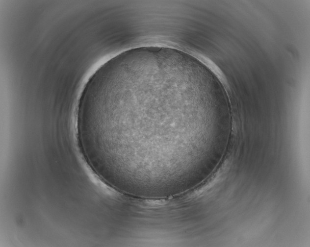X0000111831144200907231312
