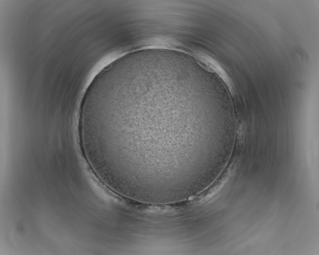 X0000111831146200907231312