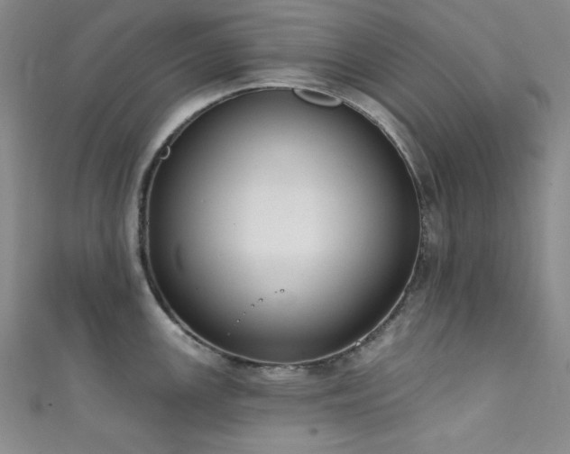 X0000111831147200907231312