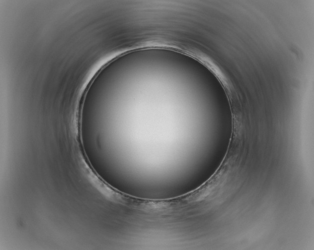 X0000111831148200907231312