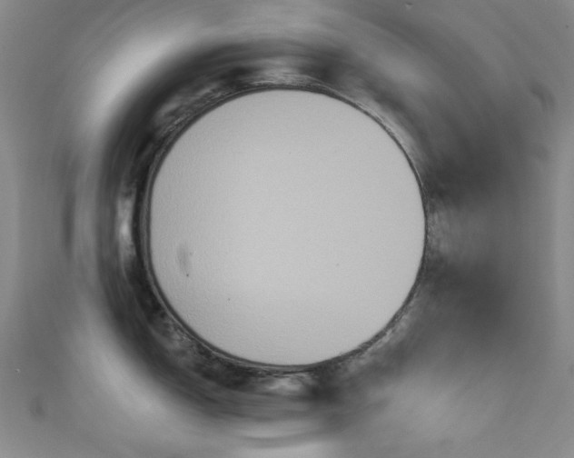 X0000111831150200907231312