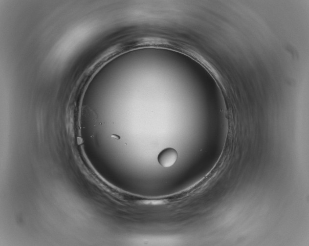 X0000111831151200907231312