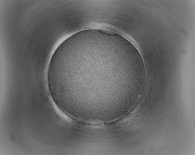 X0000111831152200907231312