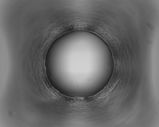 X0000111831153200907231311