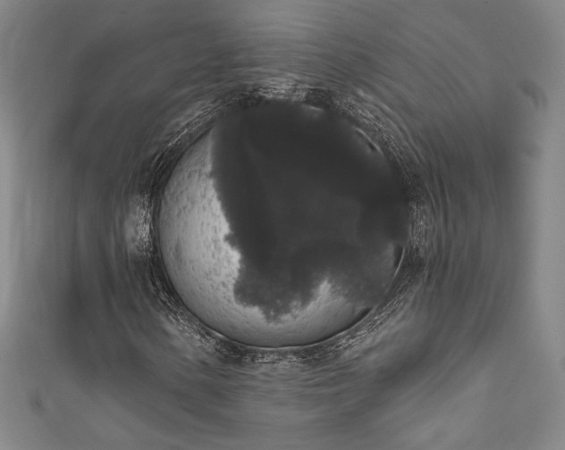 X0000111831154200907231311