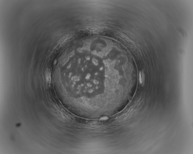X0000111831155200907231311