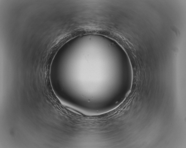 X0000111831157200907231311