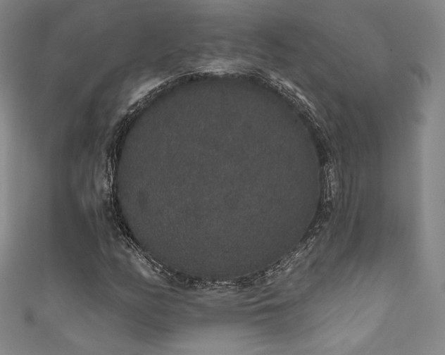 X0000111831158200907231311