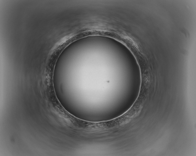 X0000111831159200907231311