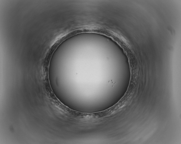 X0000111831160200907231311
