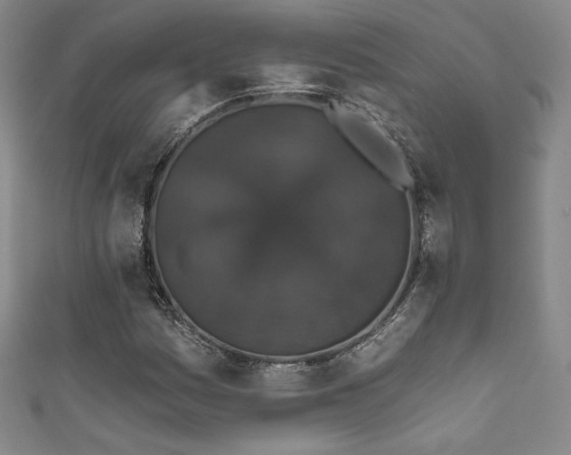 X0000111831161200907231311
