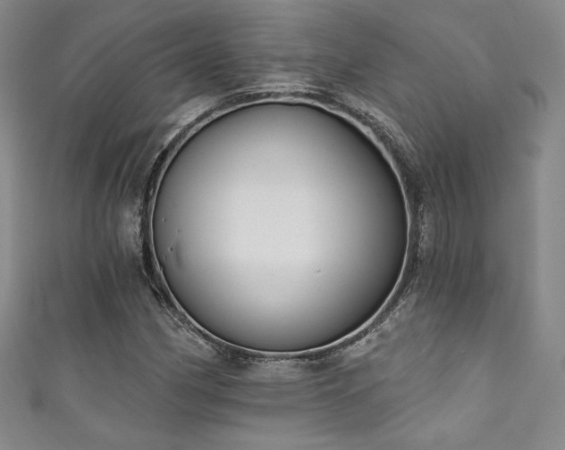 X0000111831162200907231311