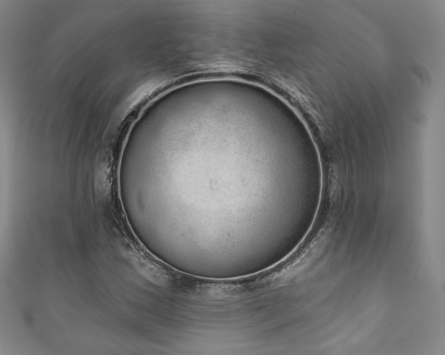 X0000111831163200907231311