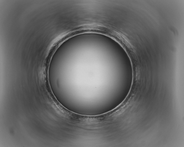 X0000111831164200907231311
