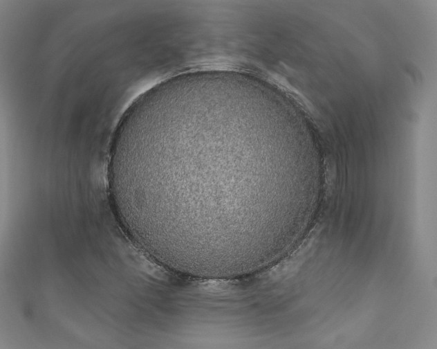 X0000111831166200907231311