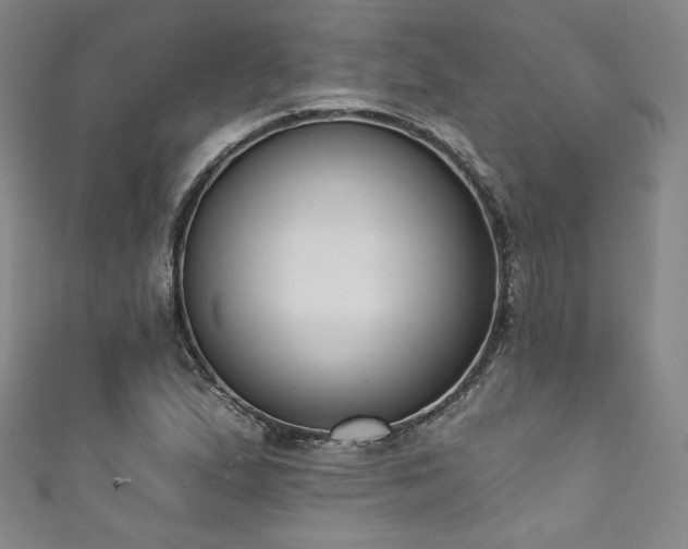X0000111831167200907231311