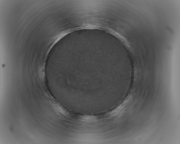 X0000111831170200907231311